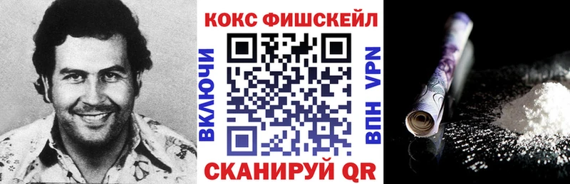 Купить закладки Ревда Кокаин Fish Scale