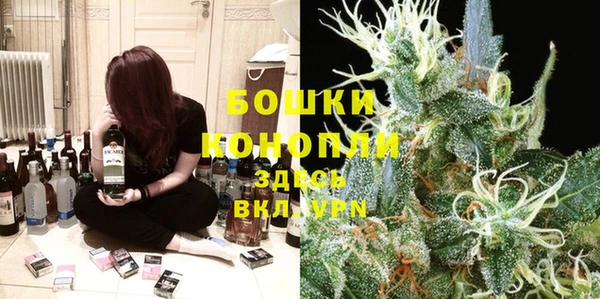 индика Верея