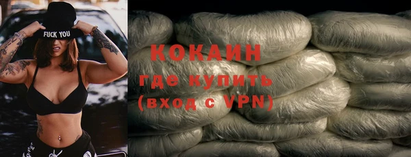 индика Верея