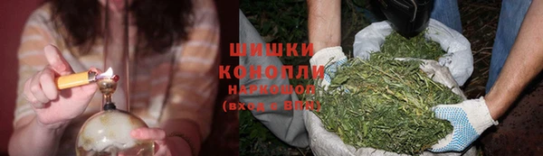 прущие крисы Верхний Тагил