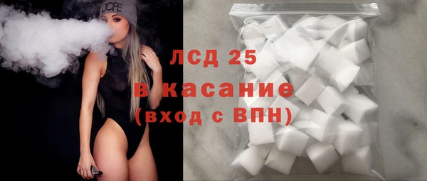 индика Верея