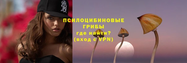 индика Верея