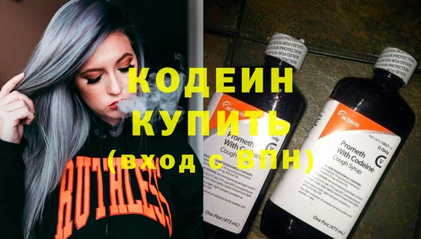 индика Верея