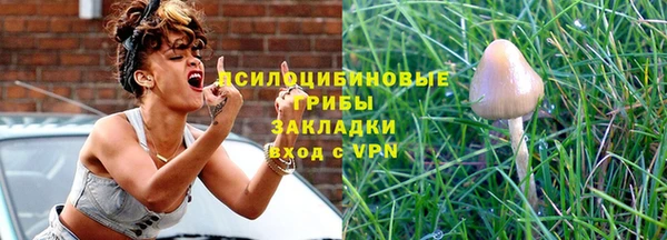 индика Верея